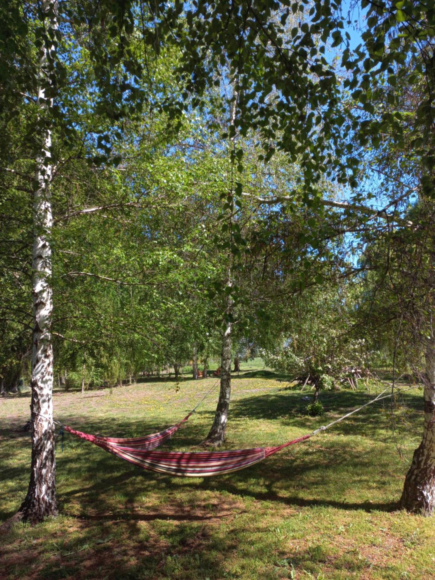 Hostel Lc Hoyo de Epuyén Екстериор снимка