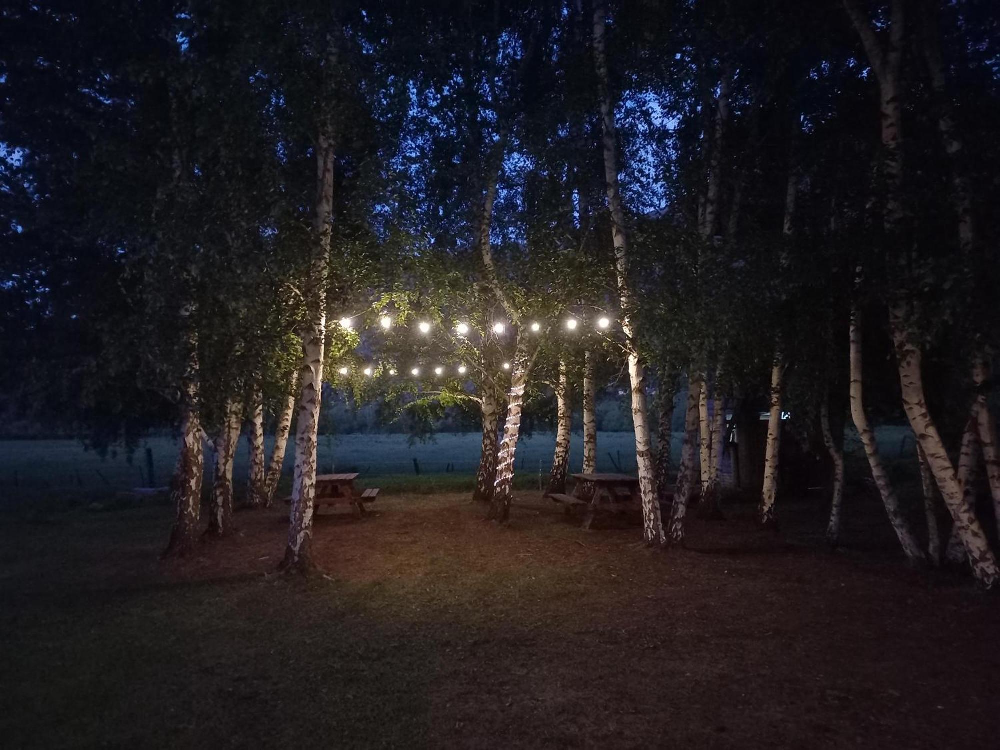 Hostel Lc Hoyo de Epuyén Екстериор снимка